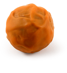 Lebkugel